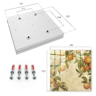 Caja de llaves Naranjas de la naturaleza
