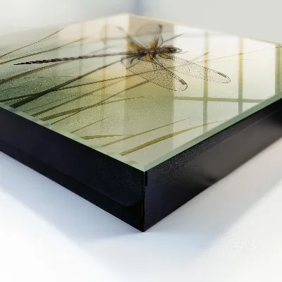 Caja de llaves Naturaleza de la libélula