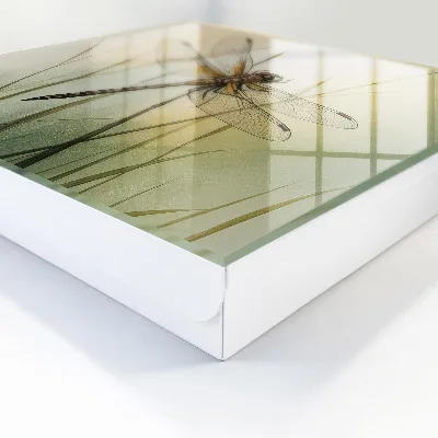 Caja de llaves Naturaleza de la libélula