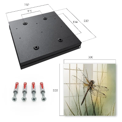 Caja de llaves Naturaleza de la libélula