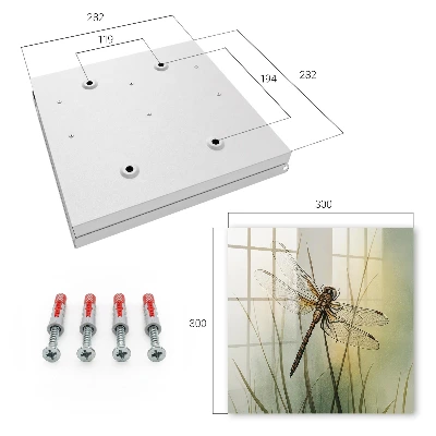 Caja de llaves Naturaleza de la libélula