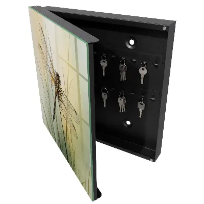 Caja de llaves Naturaleza de la libélula
