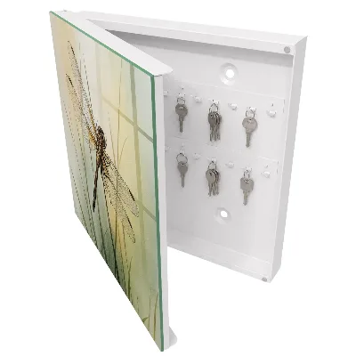 Caja de llaves Naturaleza de la libélula
