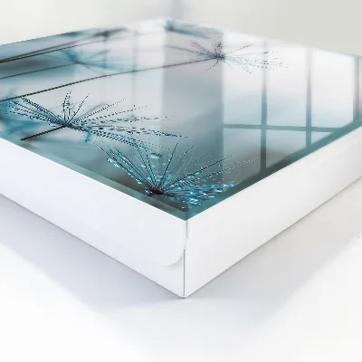 Caja de llaves Dientes de león y rocío