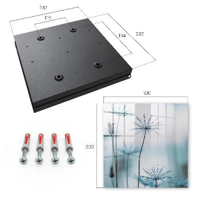Caja de llaves Dientes de león y rocío