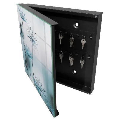 Caja de llaves Dientes de león y rocío