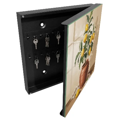 Caja de llaves Limonero