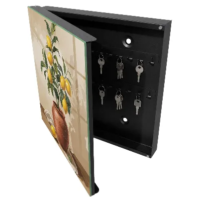 Caja de llaves Limonero