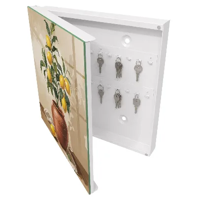 Caja de llaves Limonero