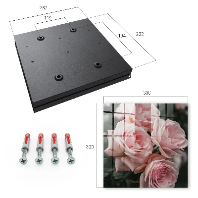 Armario llaves de pared Rosas rosadas
