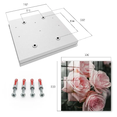 Armario llaves de pared Rosas rosadas