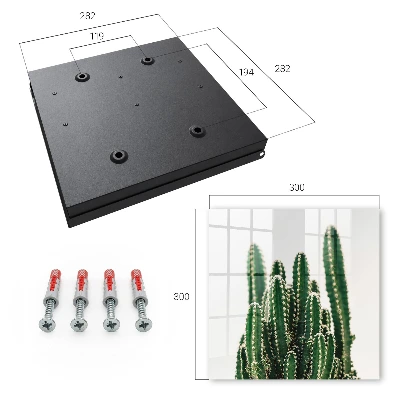 Armario de llaves Cactus verdes