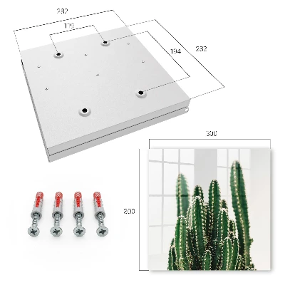 Armario de llaves Cactus verdes
