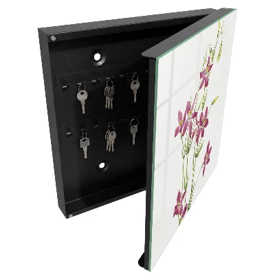 Armario llaves de pared Flores rosas
