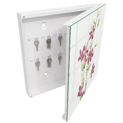 Armario llaves de pared Flores rosas