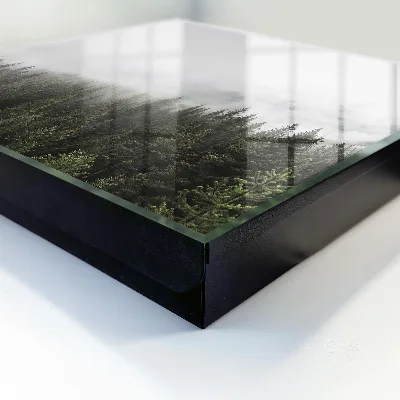 Caja de llaves Pinos neblinosos