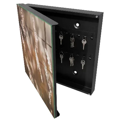 Caja de llaves Hierbas en el prado