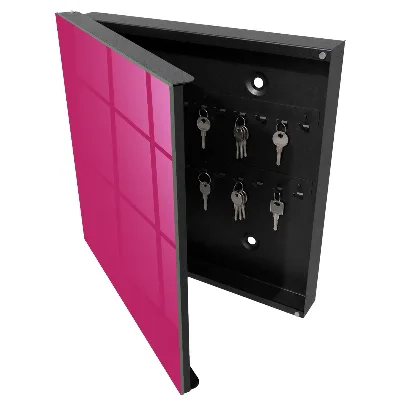 Armario llaves de pared Rosa intenso