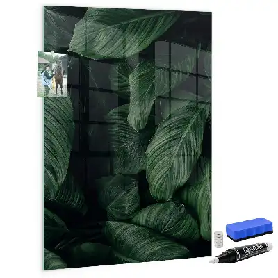 Pizarra blanca magnética diseño selva de hojas
