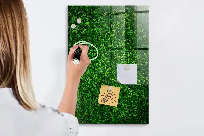 Pizarra magnética para escritura con diseño de seto de hojas