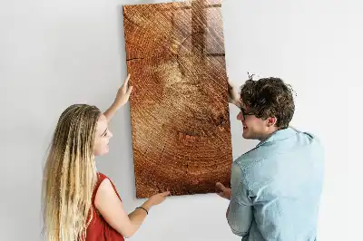 Pizarra magnética para escribir con diseño de sección transversal de un tronco