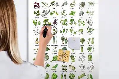 Pizarra magnética decorativa con rotulador diseño de verduras verdes