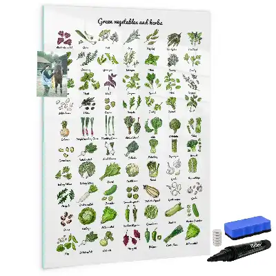 Pizarra magnética decorativa con rotulador diseño de verduras verdes