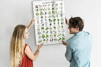 Pizarra magnética decorativa con rotulador diseño de verduras verdes
