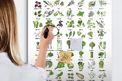 Pizarra magnética decorativa con rotulador diseño de verduras verdes