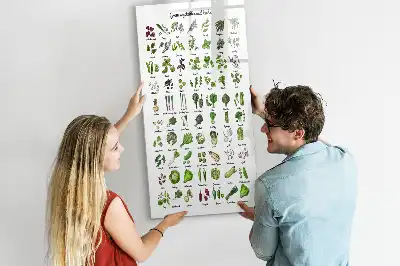 Pizarra magnética decorativa con rotulador diseño de verduras verdes