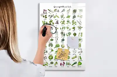 Pizarra magnética decorativa con rotulador diseño de verduras verdes