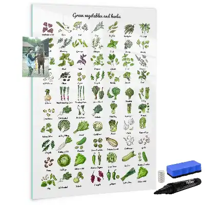 Pizarra magnética decorativa con rotulador diseño de verduras verdes