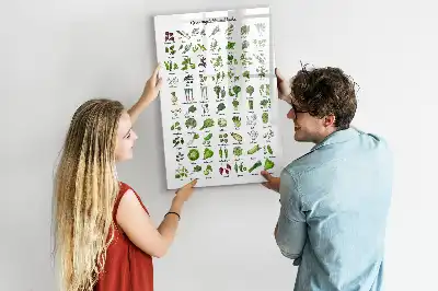 Pizarra magnética decorativa con rotulador diseño de verduras verdes