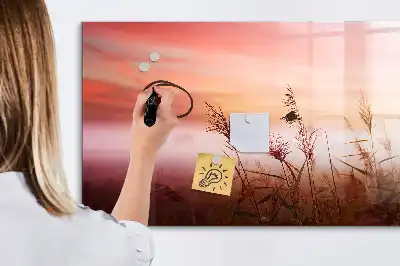 Pizarra magnética de pared diseño mañana nublada con rotulador incluido