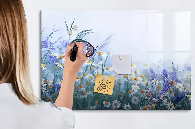 Pizarra magnética de pared diseño mariposa en el prado con rotulador incluido