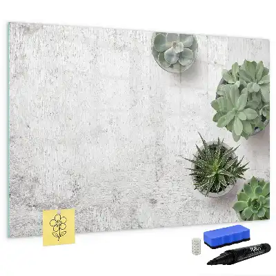 Pizarra magnética de pared con rotulador incluido