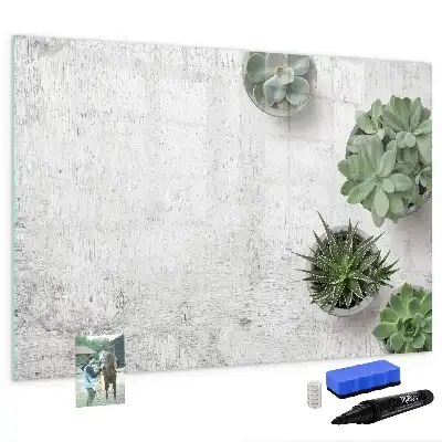 Pizarra magnética de pared con rotulador incluido