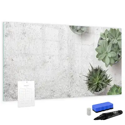 Pizarra magnética de pared con rotulador incluido
