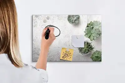Pizarra magnética de pared con rotulador incluido