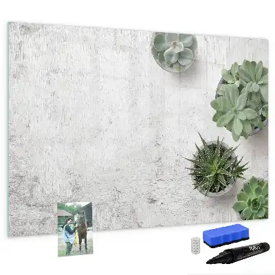 Pizarra magnética de pared con rotulador incluido