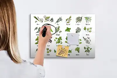 Pizarra borrable de cristal con imanes diseño de especies de árboles