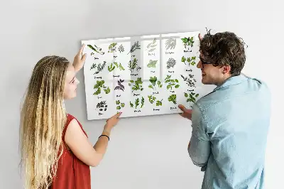 Pizarra borrable de cristal con imanes diseño de especies de árboles