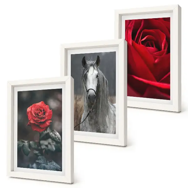Juego de 3 cuadros decorativos con diseño de rosas rojas y un caballo en un entorno gris