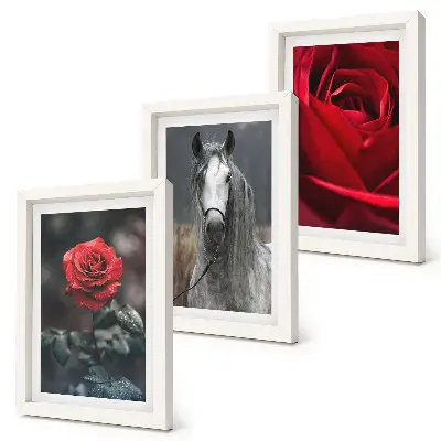 Juego de 3 cuadros decorativos con diseño de rosas rojas y un caballo en un entorno gris