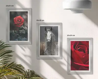 Juego de 3 cuadros decorativos con diseño de rosas rojas y un caballo en un entorno gris