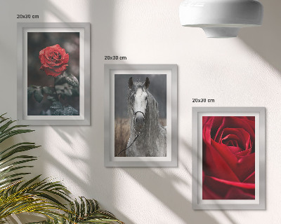 Juego de 3 cuadros decorativos Rosas rojas y un caballo en un entorno gris.