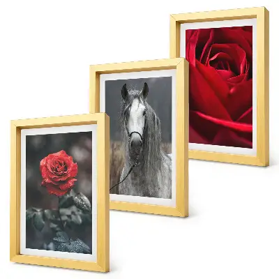 Juego de 3 cuadros decorativos con diseño de rosas rojas y un caballo en un entorno gris
