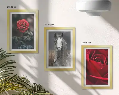 Juego de 3 cuadros decorativos con diseño de rosas rojas y un caballo en un entorno gris