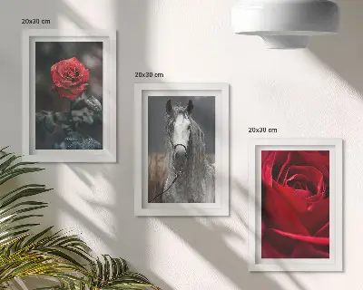 Juego de 3 cuadros decorativos con diseño de rosas rojas y un caballo en un entorno gris
