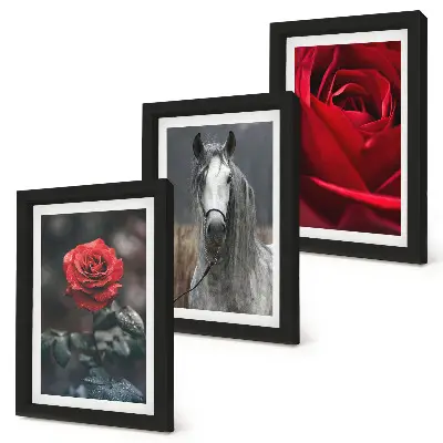 Juego de 3 cuadros decorativos con diseño de rosas rojas y un caballo en un entorno gris